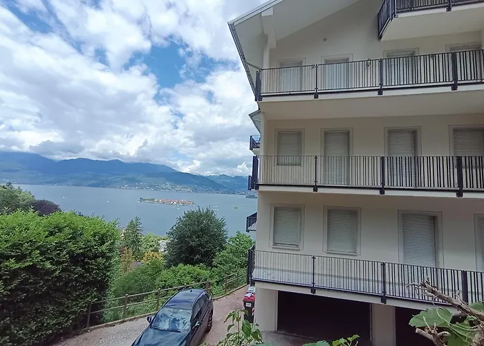 Felicita * ستريزا